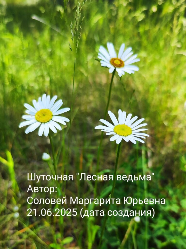 track-artwork