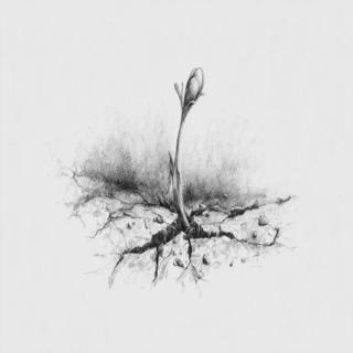 track-artwork