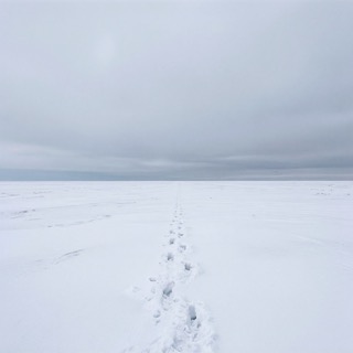 track-artwork